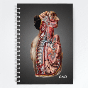 Cuaderno Argollado de Notas GMD